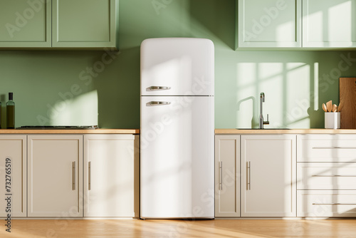 Stylish home kitchen interior with cooking cabinet and refrigerator