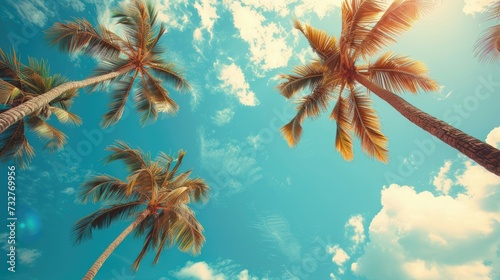 Sun-kissed palm trees with a vivid blue sky. © AdriFerrer