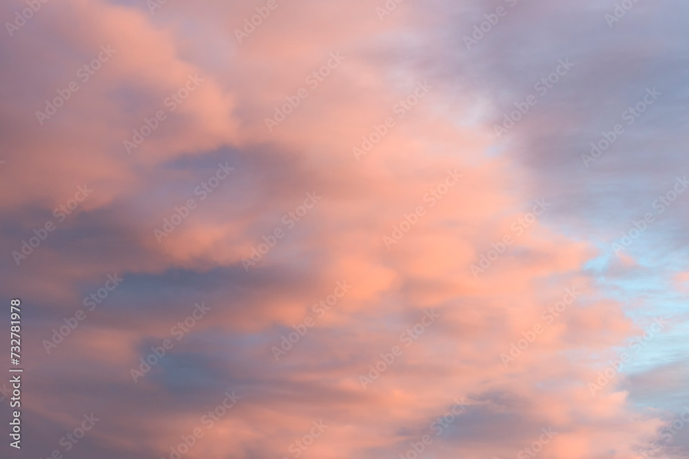 Pink sunset nice background