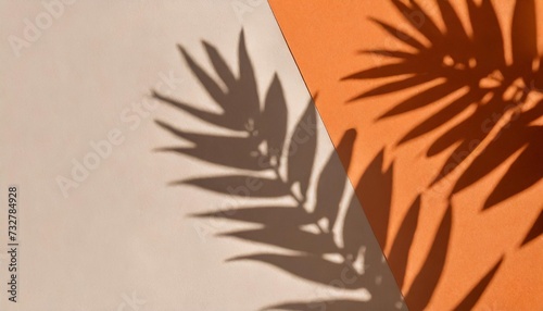 warm orange and beige summer color background with tropical palm shadow two trend pastel paper and exotic plant shade layout minimal flat lay with leaf silhouette overlay