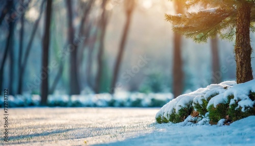 beautiful blurred background image of winter nature with a neatly trimmed lawn surrounded by trees