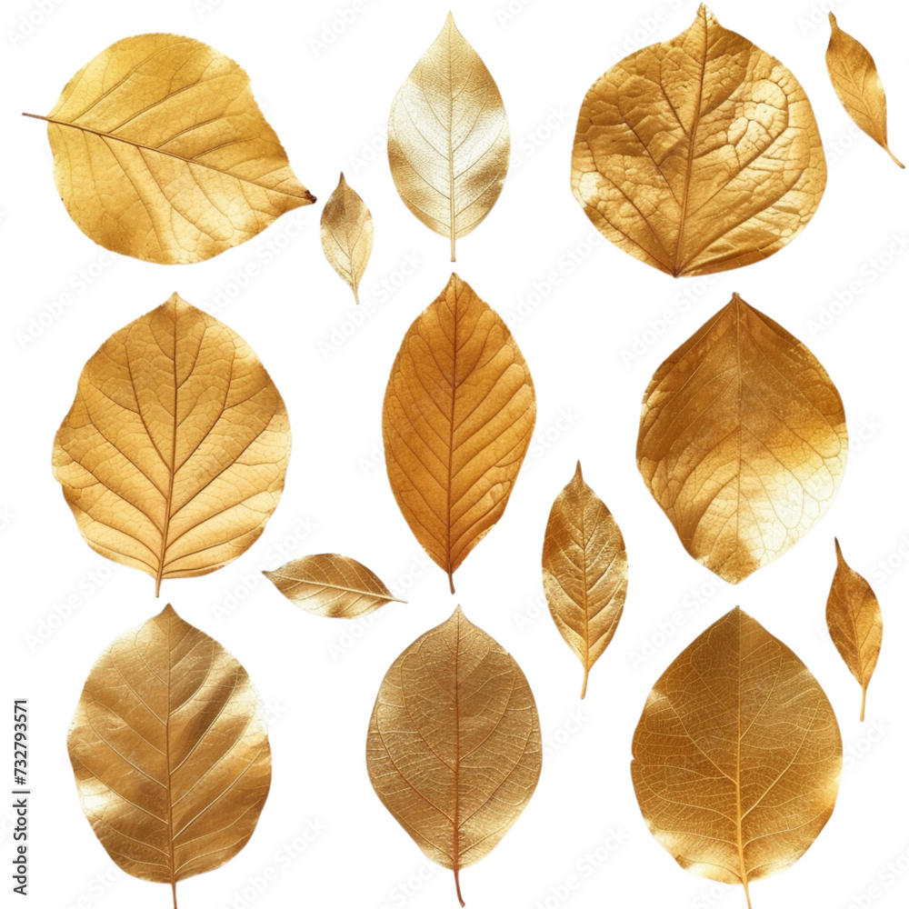 Gold autumn leaves isolated Gold autumn leaves isolated