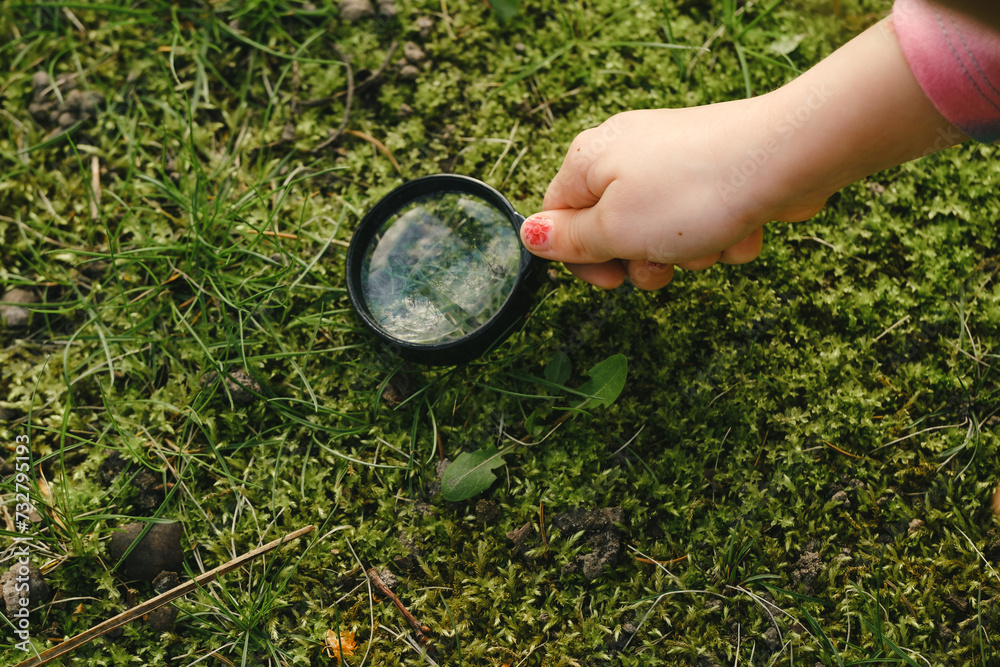 Kids hand with magnifying glass over moss in the forest. Nature search and exploration, top view, copy space