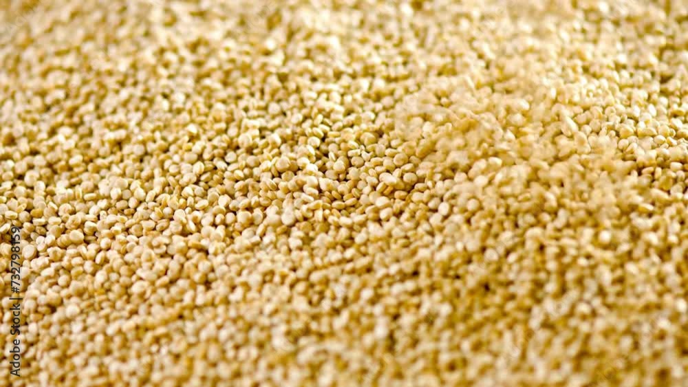 Vibrant 4K Ultra HD Video: Close-Up Dolly Shot of Fresh Quinoa | Wholesome Superfood in Exquisite Detail Vibrant 4K Ultra HD Video: Close-Up Dolly Shot of Fresh Quinoa | Wholesome Superfood in Exquisite Detail