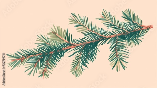 seamless background with coniferous branches pattern  coniferous  fir  