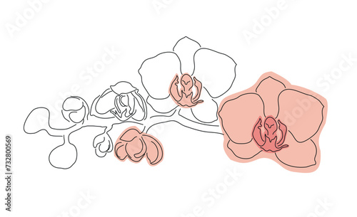 Blooming orchid branch in one line and spot, vector illustration for a postcard, banner, calendar.