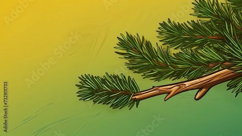 seamless background with coniferous branches pattern, coniferous, fir, 