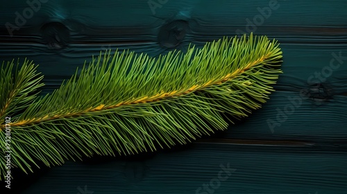 seamless background with coniferous branches pattern, coniferous, fir, 