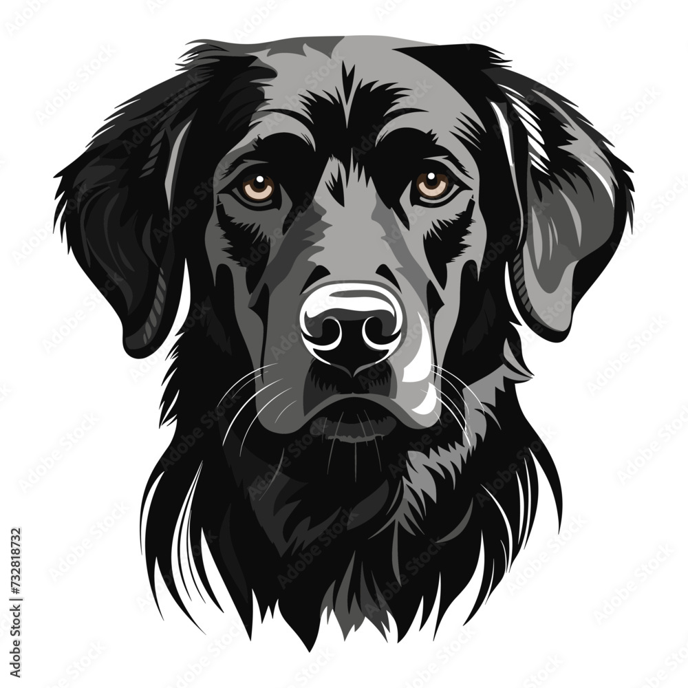 Black Labrador Retriever dog face, isolated against a white background. Vector illustration Black Labrador Retriever dog face, isolated against a white background. Vector illustration
