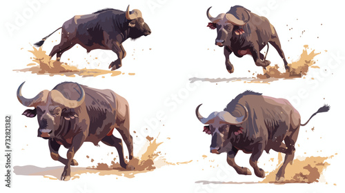 African black buffalo in 4 action vector.