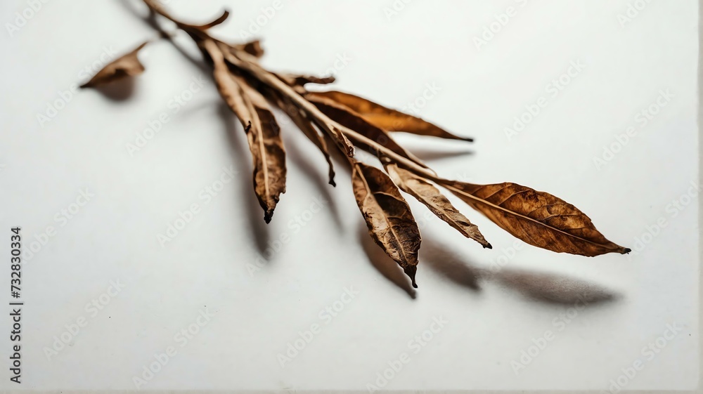 Bush of dried leaves on plain white background from Generative AI Bush of dried leaves on plain white background from Generative AI