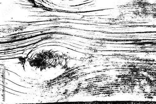 Abstract tree wood surface texture background. Nature wooden texture. Black and white. Vector background design. Forest finds collection, natural tree flat.