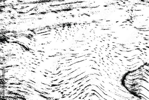 Abstract tree wood surface texture background. Nature wooden texture. Black and white. Vector background design. Forest finds collection, natural tree flat.