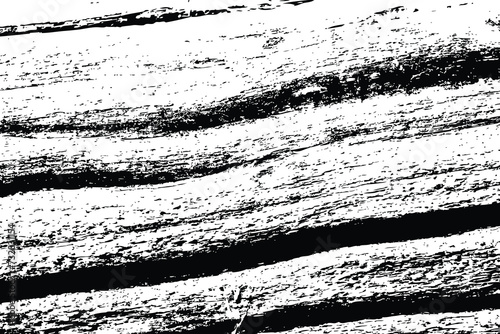 Abstract tree wood surface texture background. Nature wooden texture. Black and white. Vector background design. Forest finds collection, natural tree flat.