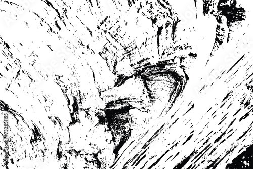 Abstract tree wood surface texture background. Nature wooden texture. Black and white. Vector background design. Forest finds collection, natural tree flat.