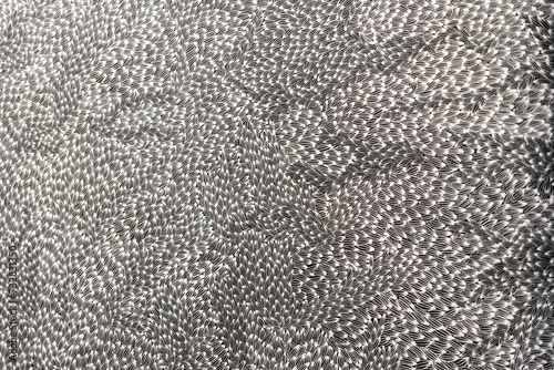 black leather texture background, black and white, monochrome