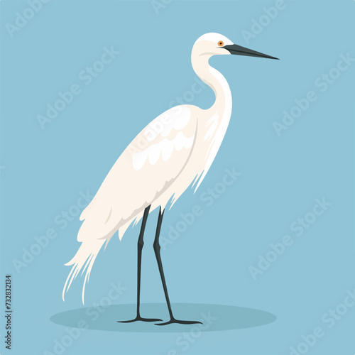 Little egret profile. Aquatic African bird.