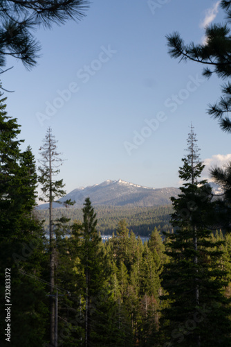 Trees surround mountain frame