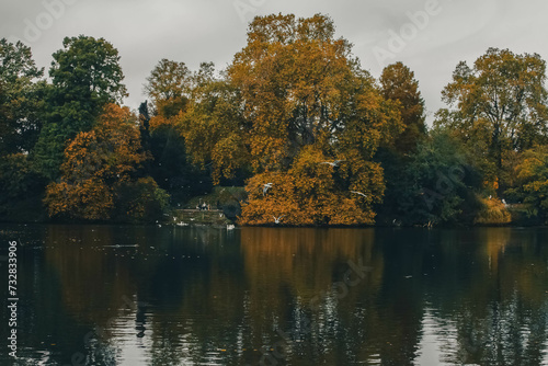 Wallpaper Mural autumn in the park Torontodigital.ca