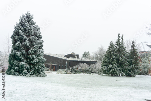 Snow covered building with trees photo