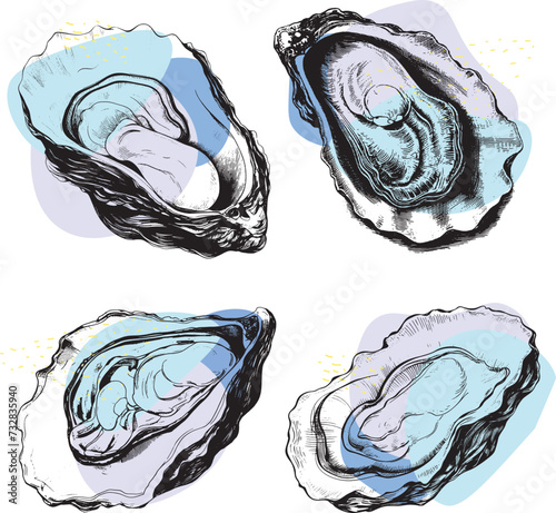 Oysters, graphic drawing of oysters
