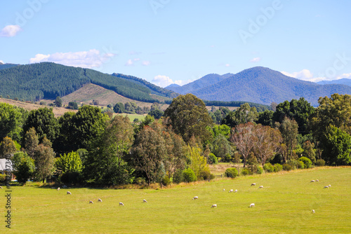 View of landscape from Bright, Victoria with Mount Buffalo in background
