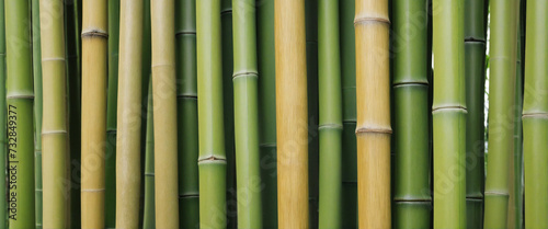  Zen-inspired bamboo fence design created through generative AI technology 
