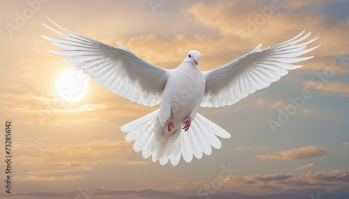Dove flying illustration