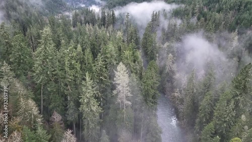 Low clouds drift across a thick forest of mixed trees in Molalla River Valley, Oregon. Oregon, and the Pacific Northwest in general, is known for its vast forest resources. photo