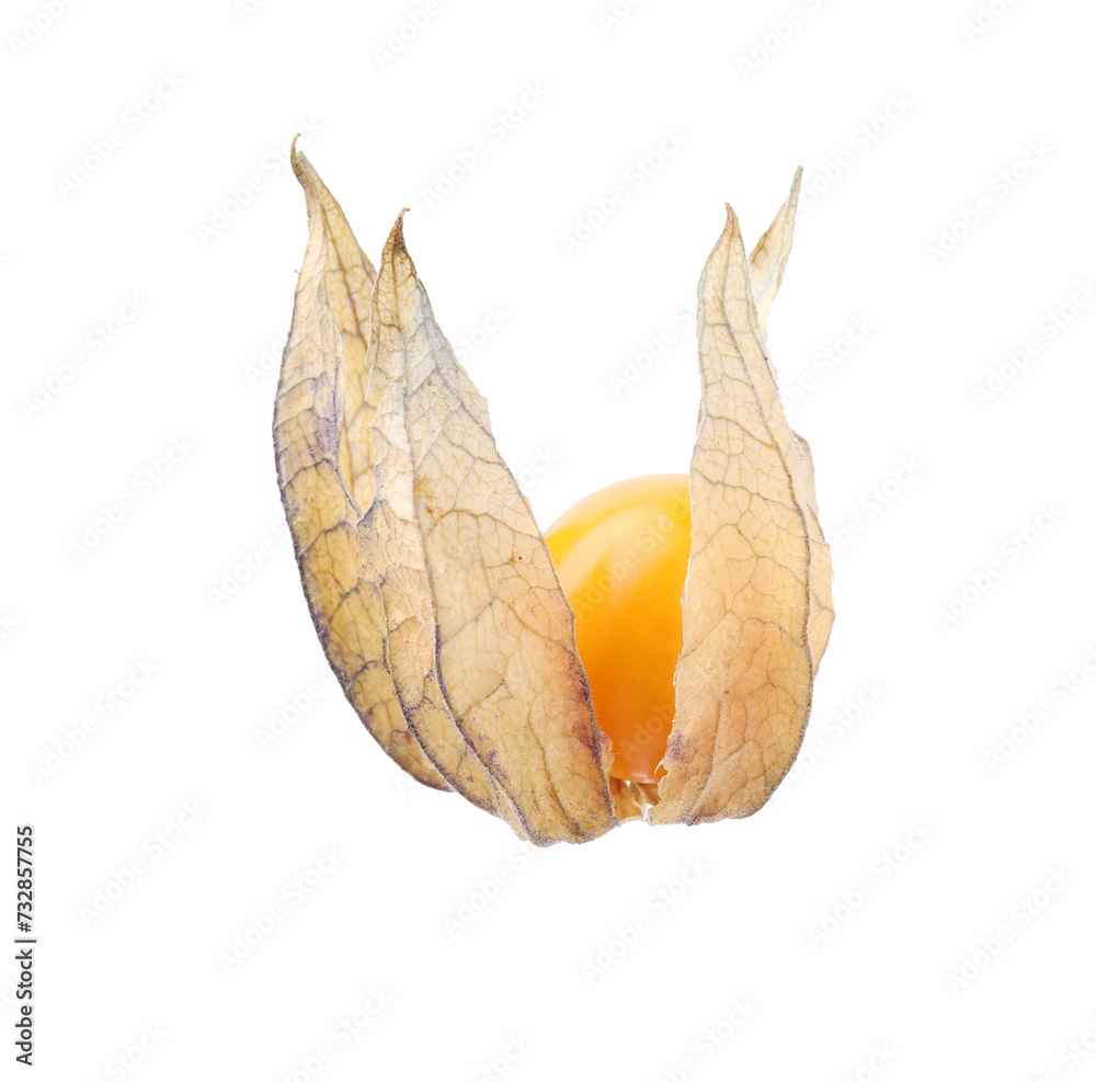 Ripe physalis fruit with calyx isolated on white Ripe physalis fruit with calyx isolated on white