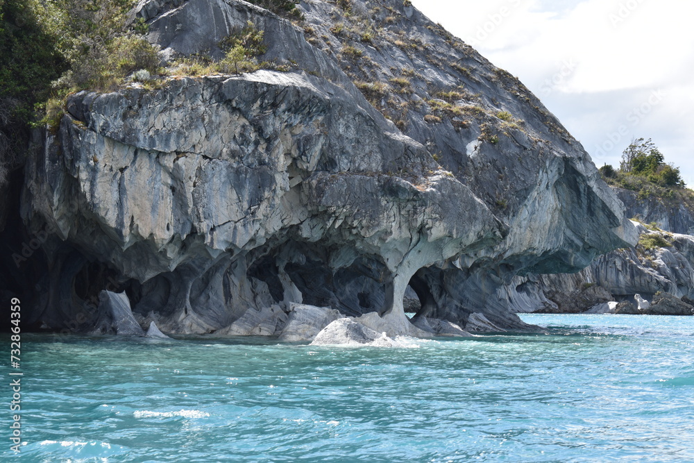 Naklejka premium El árbol de la vida, Chile Chico