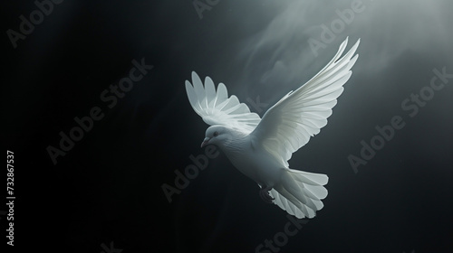 White Dove Soaring Gracefully With Spread Wings