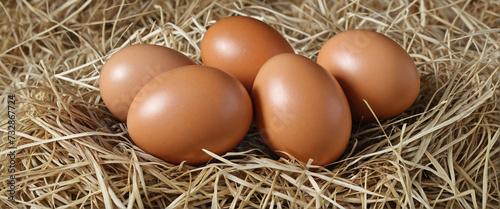 Organic brown eggs on straw, top view