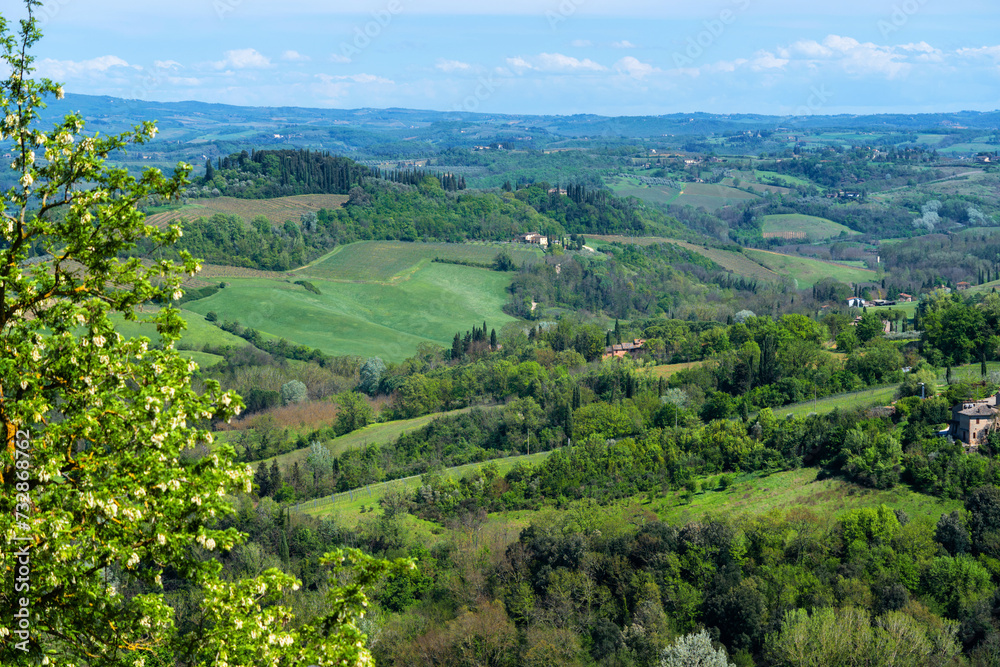 Panoramic beautiful rural landscape of Toscana. Green fields and meadows, countryside in Italy