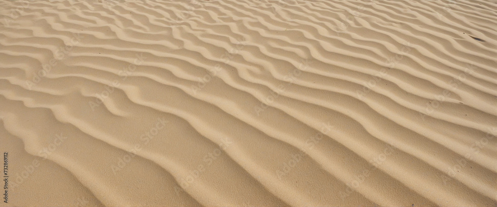 Sand cut out from beach or desert Sand cut out from beach or desert