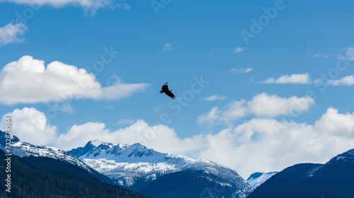 Majestic Bald Eagle in the Sky with Snow-Capped Peaks AI Generated. © Demo