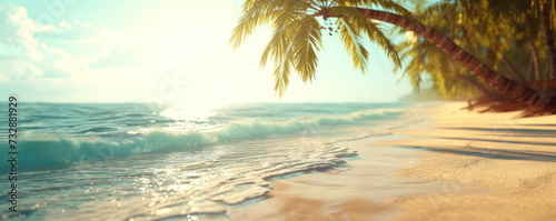 Tropical beach background with palm trees, Summer holiday vacation concept
