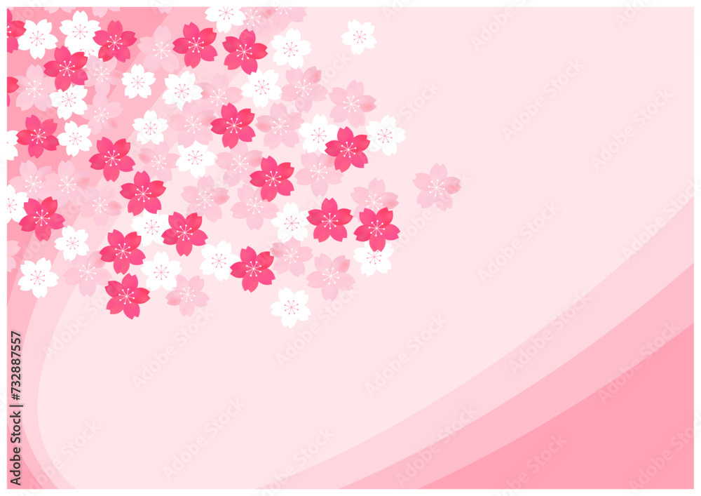 桜の花が美しい春の桜フレーム背景36桜色