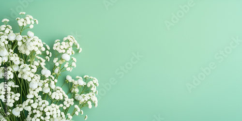 White cutter flower blooming on green background Flowers composition. Gypsophila baby breath flowers. photo