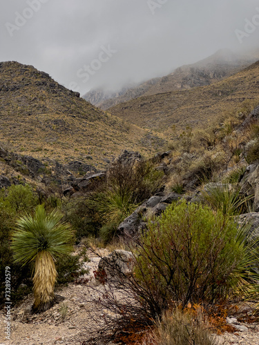 Thick Fog Hangs In The Sierra Del Caballo Muerto Mountains Along Strawhouse Trail