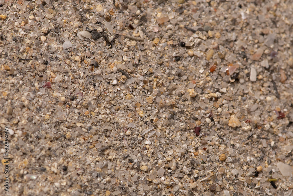 Texture of sand with little rocks and crushed shells Texture of sand with little rocks and crushed shells