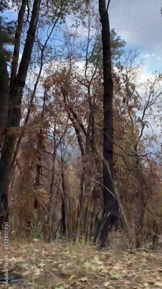 View from the window of a car driving along a picturesque road