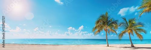 Palm trees on a sandy beach with blue ocean and cloudy blue skies. Idyllic panoramic view for spring break and summer vacation background. Copy space