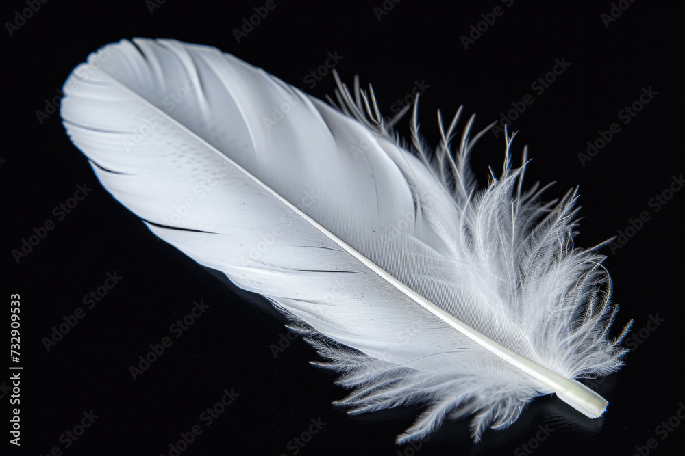 White Feather On Black Surface For Background Created Using Artificial Intelligence White Feather On Black Surface For Background Created Using Artificial Intelligence