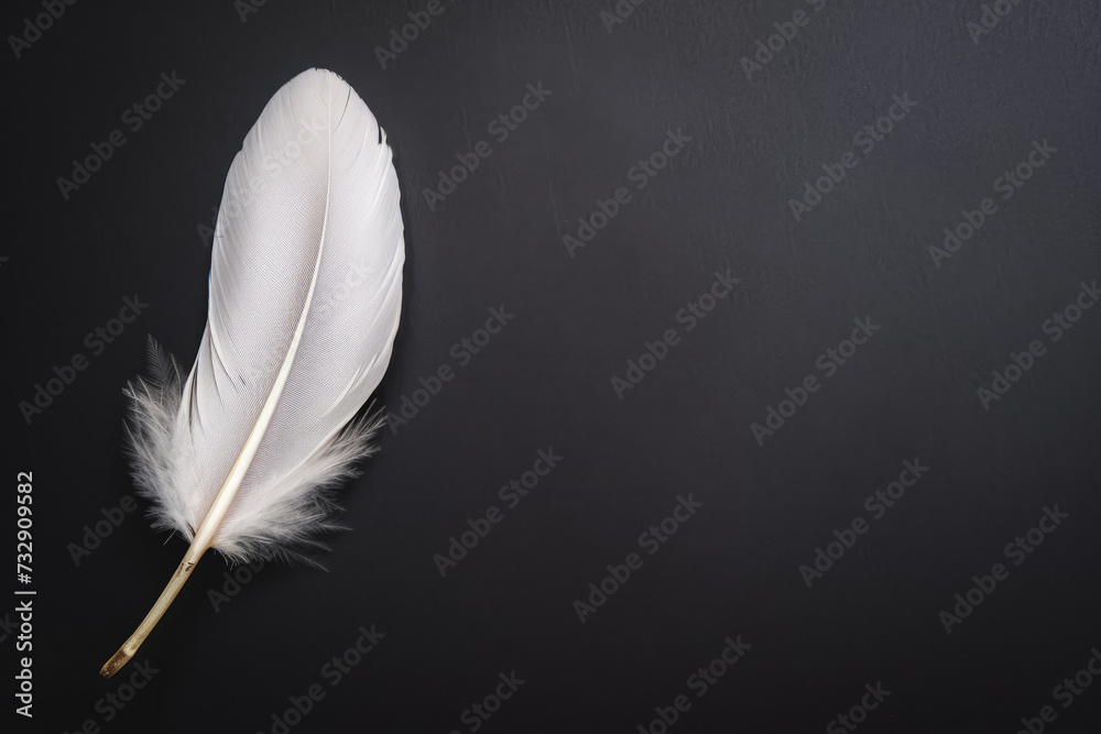 White Feather On Black Surface For Background Created Using Artificial Intelligence White Feather On Black Surface For Background Created Using Artificial Intelligence