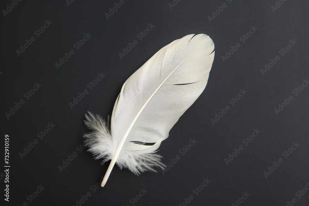 White Feather On Black Surface For Background Created Using Artificial Intelligence White Feather On Black Surface For Background Created Using Artificial Intelligence