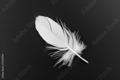 White Feather On Black Surface For Background Created Using Artificial Intelligence