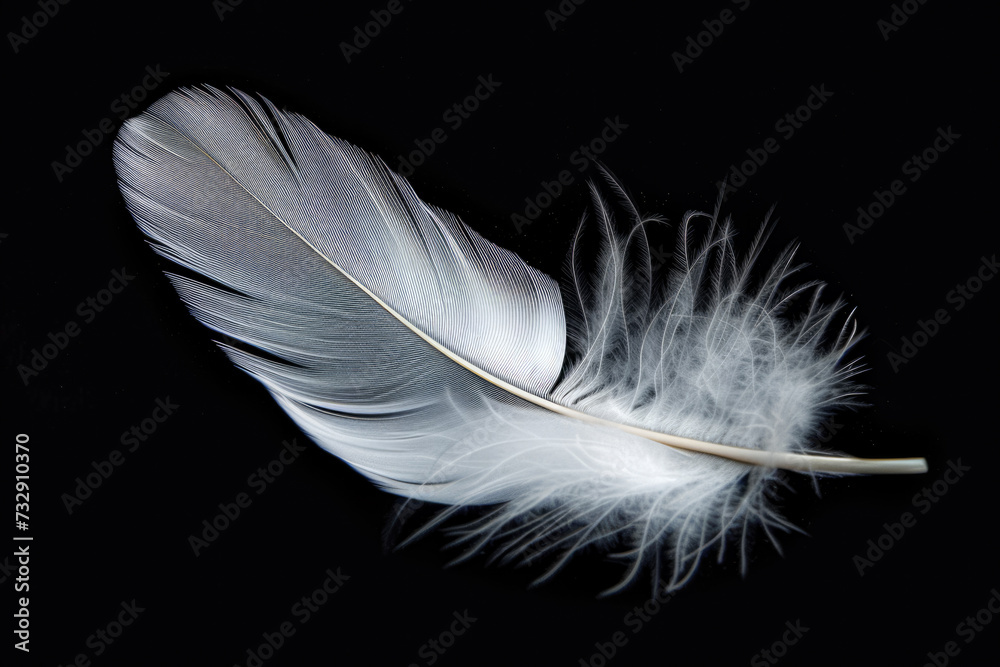 White Feather On Black Surface For Background Created Using Artificial Intelligence White Feather On Black Surface For Background Created Using Artificial Intelligence