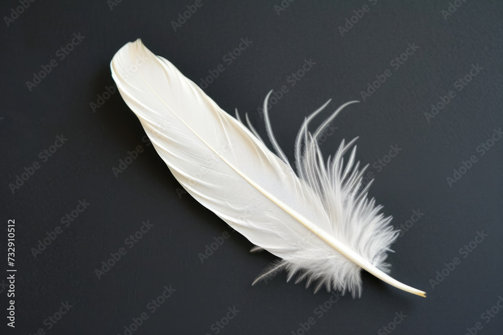 Obraz premium White Feather On Black Surface For Background Created Using Artificial Intelligence