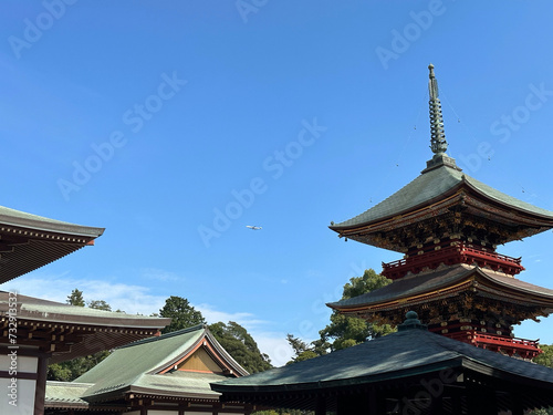 Travel to Japan